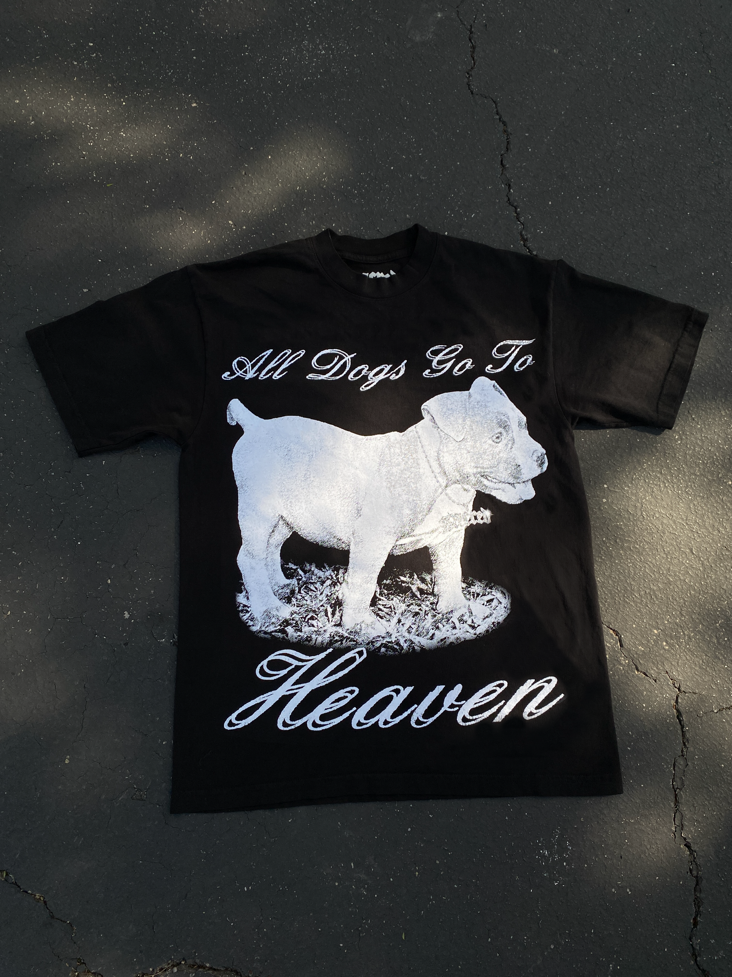 SACRED- All Dogs Go To Heaven Tee